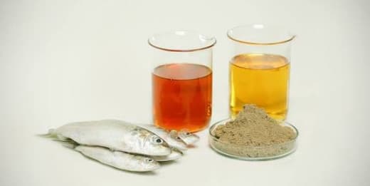 Fish Meal